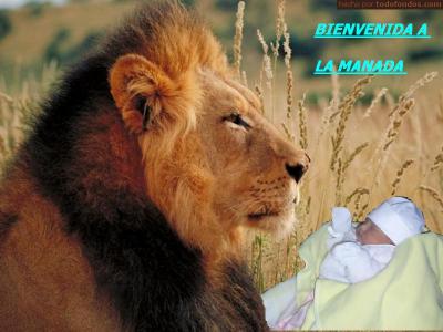 BIENVENIDA FERNANDITA